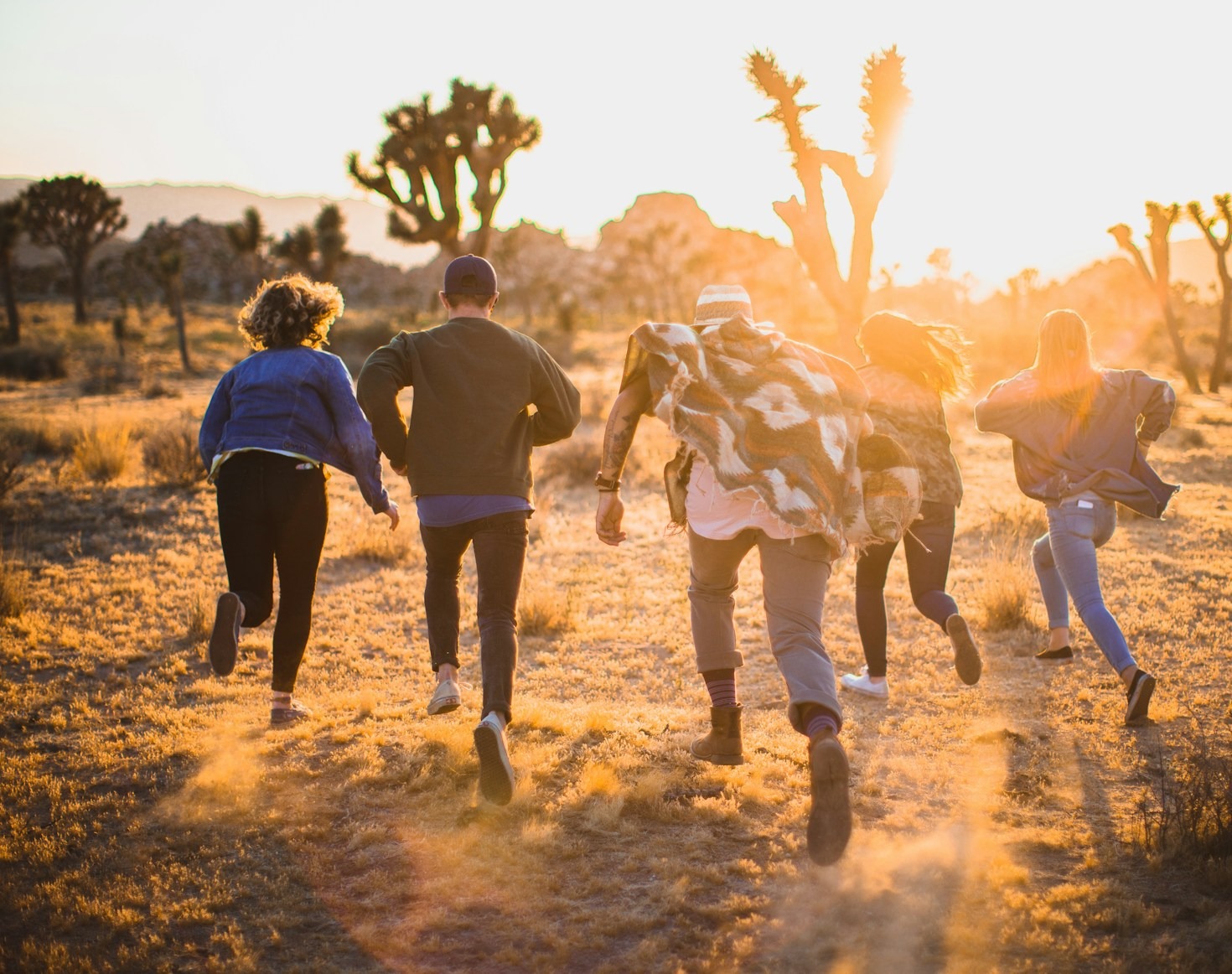 Onderzoek en interventies: de kracht van LADS Grow